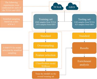 A Machine Learning Method to Trace Cancer Primary Lesion Using Microarray-Based Gene Expression Data